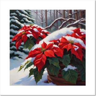 Poinsettias In The Snow Winter Flowers Posters and Art